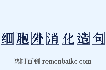 细胞外消化造句是什么意思的图片